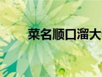 菜名順口溜大全東北（菜名順口溜）