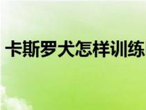 卡斯羅犬怎樣訓(xùn)練聽(tīng)話(huà)(卡斯羅犬怎樣訓(xùn)練) 卡斯羅犬怎樣訓(xùn)練聽(tīng)話(huà)(卡斯羅犬怎樣訓(xùn)練)