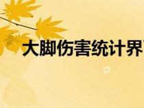 大腳傷害統(tǒng)計(jì)界面設(shè)置(大腳傷害統(tǒng)計(jì)) 大腳傷害統(tǒng)計(jì)界面設(shè)置(大腳傷害統(tǒng)計(jì))