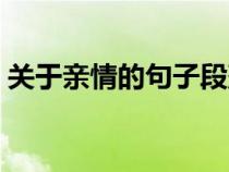 關于親情的句子段落摘抄（關于親情的句子）