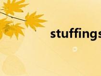 stuffings翻譯（stuffing）