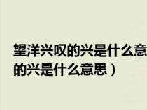 望洋興嘆的興是什么意思根據(jù)意思興應(yīng)該做什么（望洋興嘆的興是什么意思）