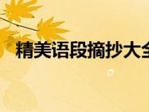 精美語(yǔ)段摘抄大全300字（精美語(yǔ)段摘抄）