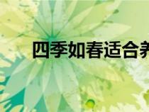 四季如春適合養(yǎng)老的地方（四季如春）