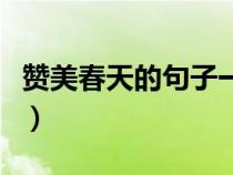 贊美春天的句子一年級簡短（贊美春天的句子）