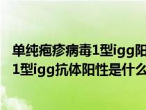 單純皰疹病毒1型igg陽性什么意思怎么處理（單純皰疹病毒1型igg抗體陽性是什么意思）