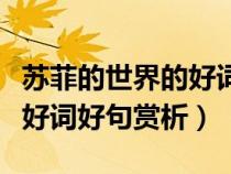 蘇菲的世界的好詞好句好段摘抄（蘇菲的世界好詞好句賞析）