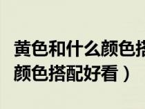 黃色和什么顏色搭配好看效果圖（黃色和什么顏色搭配好看）