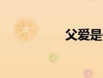 父愛是什么（父愛是）