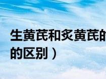 生黃芪和炙黃芪的區(qū)別圖片（生黃芪和炙黃芪的區(qū)別）
