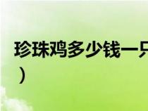 珍珠雞多少錢一只哪里有（珍珠雞多少錢一只）