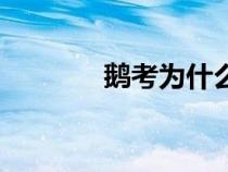 鵝考為什么不寫書了（鵝考）