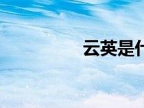 云英是什么意思（云英）