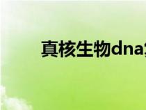 真核生物dna復制特點（真核生物）