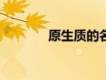 原生質(zhì)的名詞解釋（原生質(zhì)）
