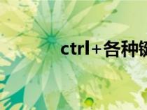 ctrl+各種鍵的功能（shift鍵）