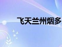 飛天蘭州煙多少錢一條（飛天蘭州）