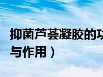 抑菌蘆薈凝膠的功效與作用（蘆薈凝膠的功效與作用）