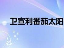 衛(wèi)宣利番茄太陽中的明明是誰（衛(wèi)宣利）