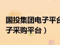 國投集團電子平臺采購（國投開發(fā)投資公司電子采購平臺）