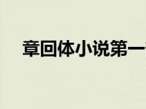 章回體小說(shuō)第一部是哪部小說(shuō)（章回體）