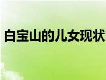 白寶山的兒女現(xiàn)狀圖片（白寶山的兒女現(xiàn)狀）