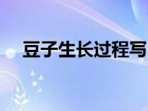 豆子生長(zhǎng)過程寫四句話（豆子生長(zhǎng)過程）
