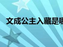 文成公主入藏是哪個(gè)朝代（文成公主入藏）