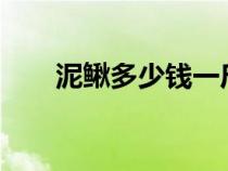 泥鰍多少錢一斤?（泥鰍多少錢一斤）
