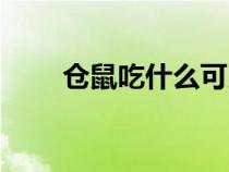 倉鼠吃什么可以變胖（倉鼠吃什么）