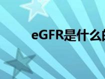 eGFR是什么的縮寫（egfr是什么）