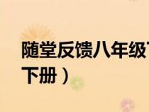 隨堂反饋八年級下冊05網(wǎng)（隨堂反饋八年級下冊）