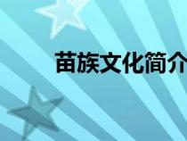 苗族文化簡(jiǎn)介ppt（苗族文化簡(jiǎn)介）