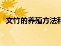 文竹的養(yǎng)殖方法和修剪（文竹的養(yǎng)殖方法）