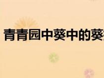 青青園中葵中的葵指的是什么（清清園中葵）