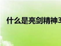 什么是亮劍精神300字（什么是亮劍精神）