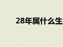 28年屬什么生肖（28歲屬什么生肖）