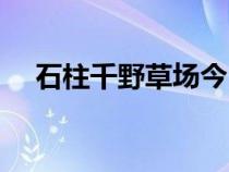 石柱千野草場今日狀況（石柱千野草場）