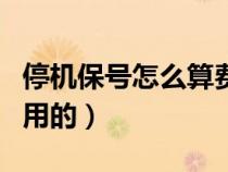 停機(jī)保號(hào)怎么算費(fèi)用（停機(jī)保號(hào)后怎么收取費(fèi)用的）