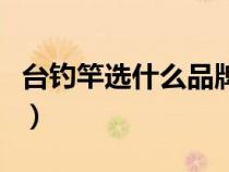 臺(tái)釣竿選什么品牌的好（臺(tái)釣魚竿什么牌子好）