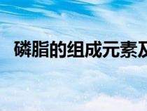 磷脂的組成元素及功能(磷脂的組成元素) 磷脂的組成元素及功能(磷脂的組成元素)