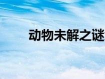 動(dòng)物未解之謎大全（動(dòng)物未解之謎）