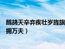 鷓鴣天辛棄疾壯歲旌旗擁萬夫拼音（鷓鴣天辛棄疾壯歲旌旗擁萬夫）