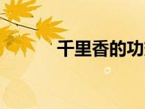 千里香的功效與作用（千里香）