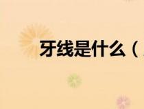 牙線是什么（用牙線的好處和壞處）