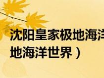 沈陽皇家極地海洋世界營業(yè)時間（沈陽皇家極地海洋世界）