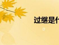 過(guò)繼是什么意思（過(guò)繼）