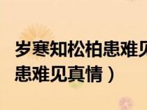 歲寒知松柏患難見真情什么意思（歲寒知松柏患難見真情）