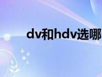 dv和hdv選哪個(gè)(dv和hdv的區(qū)別) dv和hdv選哪個(gè)(dv和hdv的區(qū)別)
