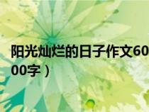 陽光燦爛的日子作文600字初一日記（陽光燦爛的日子作文600字）